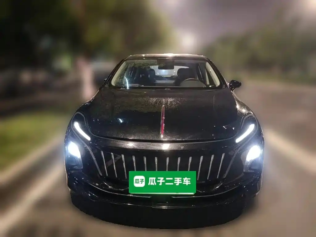 Hongqi Hongqi E-QM5 — миниатюра 2