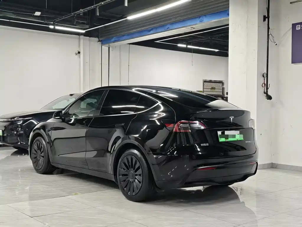 Tesla Model Y — миниатюра 9