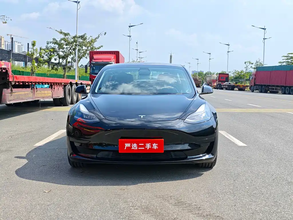 Tesla Model 3 — миниатюра 3