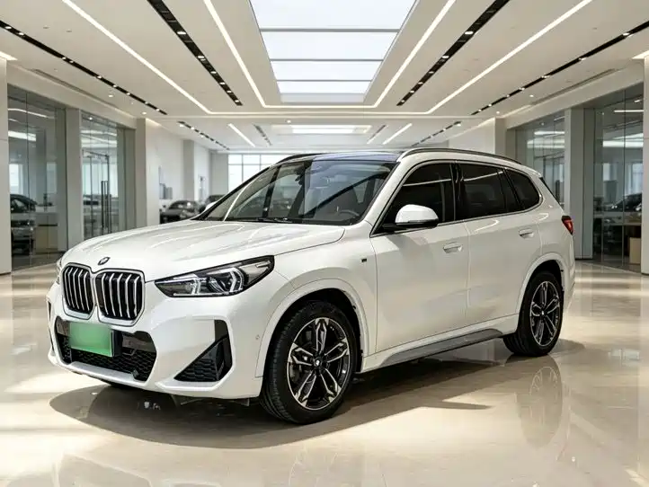 BMW X1 — миниатюра 2