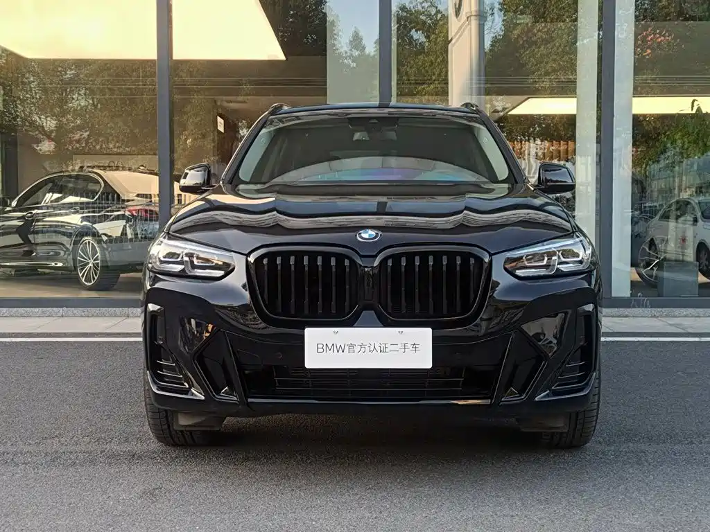 BMW X3 — миниатюра 3