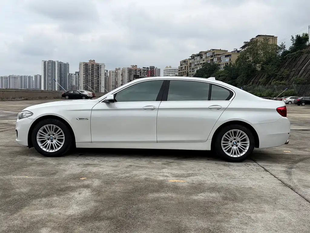 BMW 5 Series 5 2014 525Li Lead