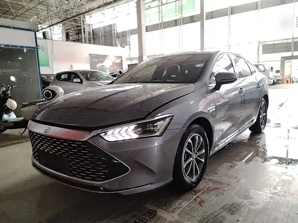 BYD Qin Plus PLUS 2024 DM-i 55KM Lead