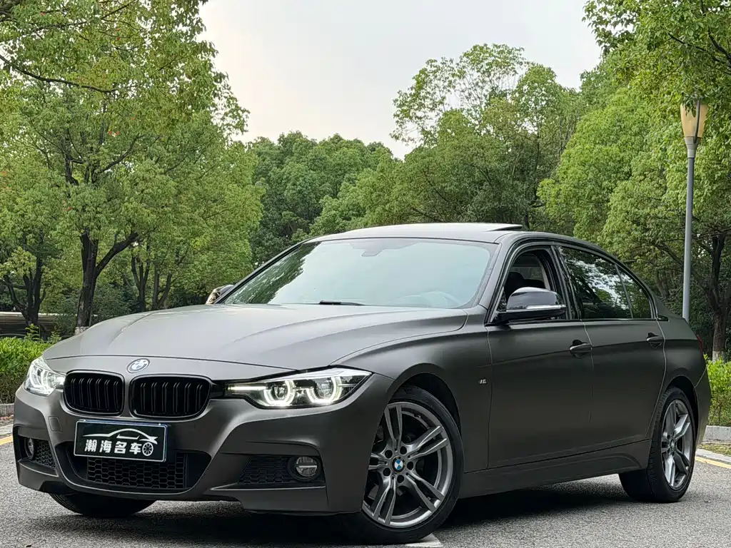 BMW 3 Series 3 2019 320Li M Sport