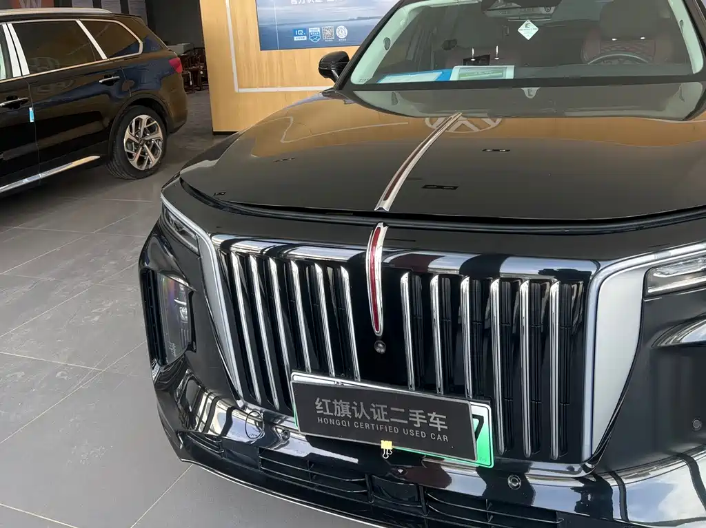 Hongqi HONGQI E HS9