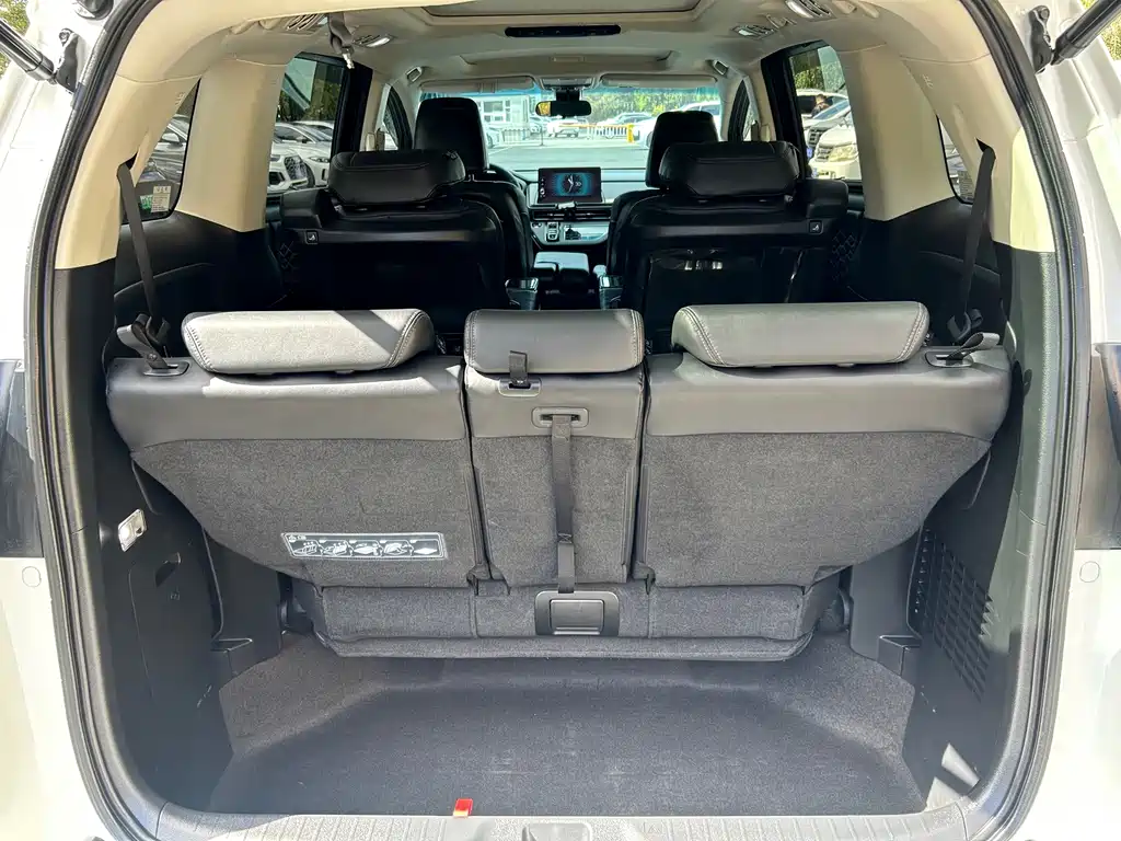 Honda Elysion — миниатюра 19