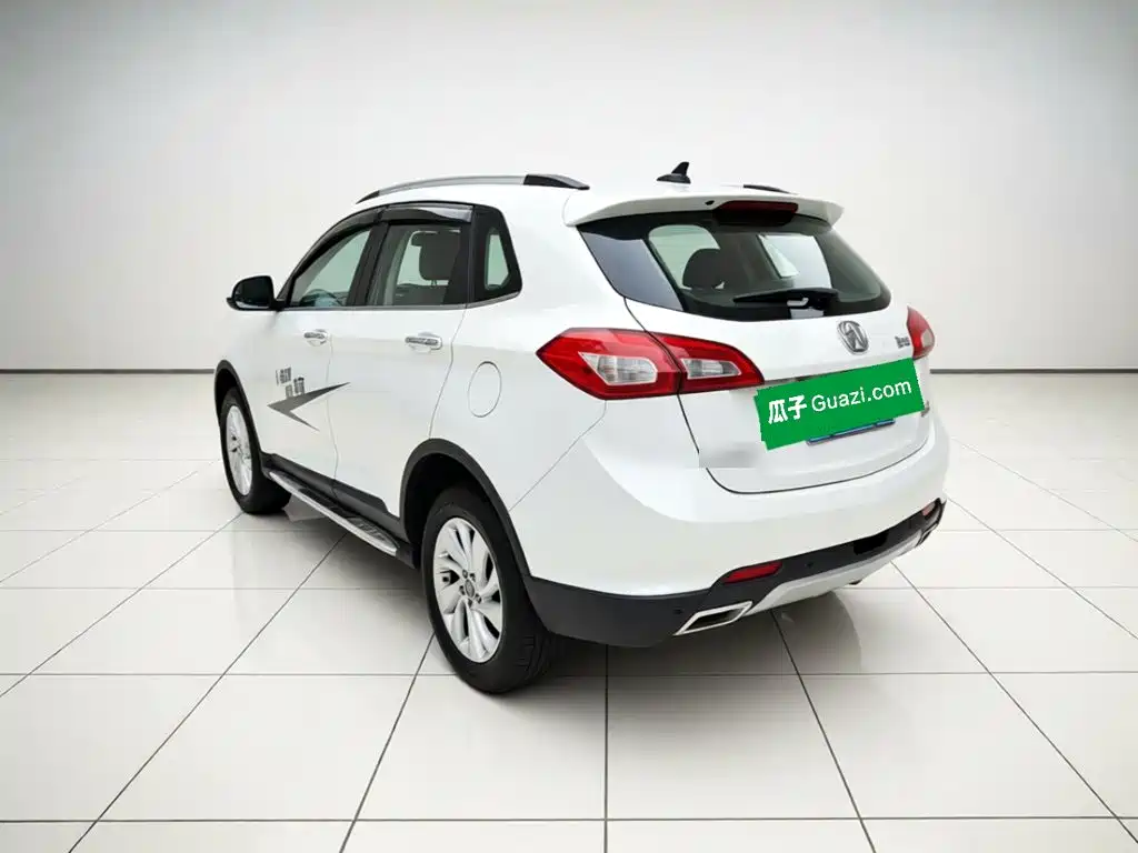 BAW Weiwang S50 — миниатюра 4