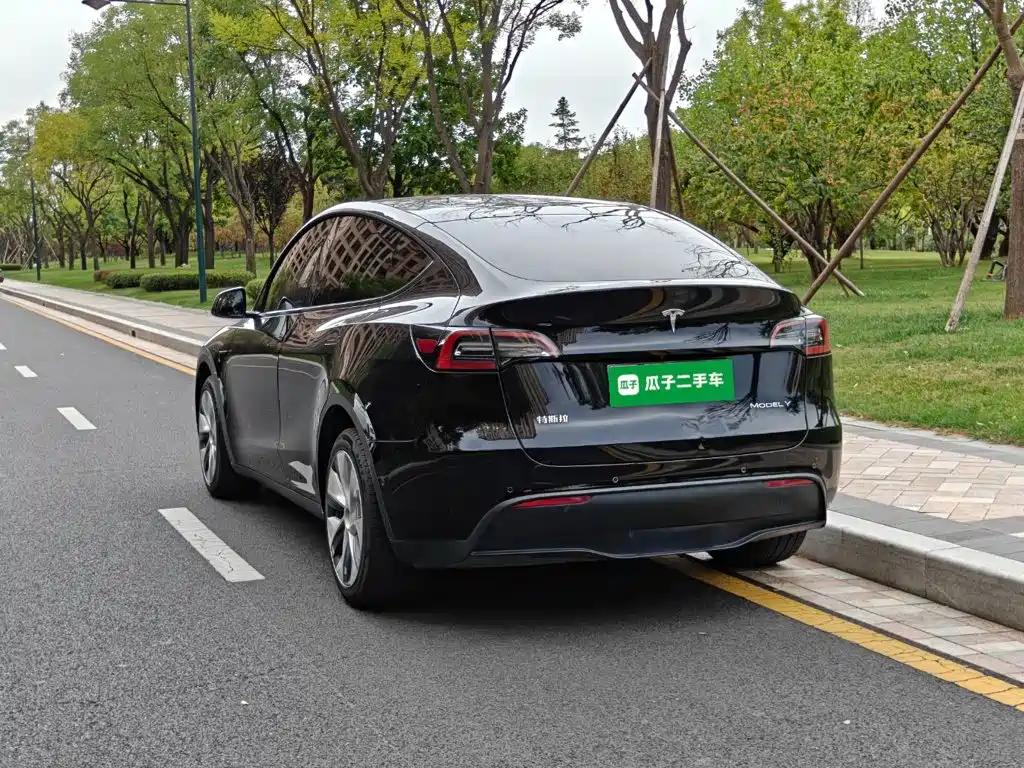 Tesla Model Y — миниатюра 5