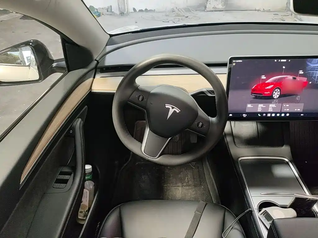 Tesla Model Y — миниатюра 11