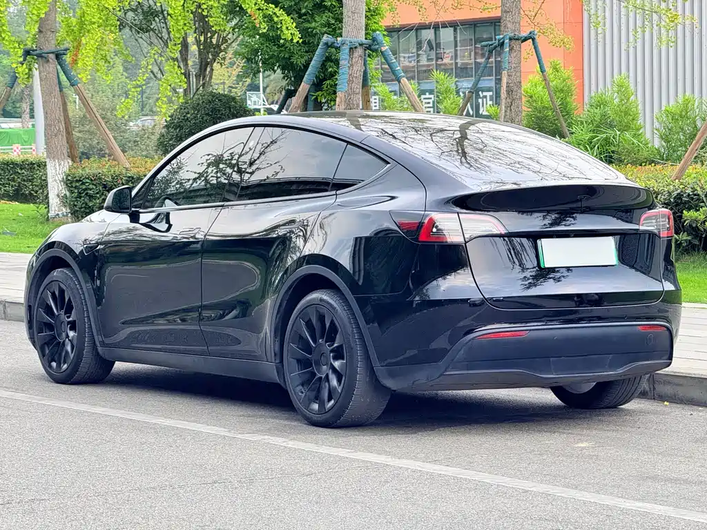 Tesla Model Y — миниатюра 8