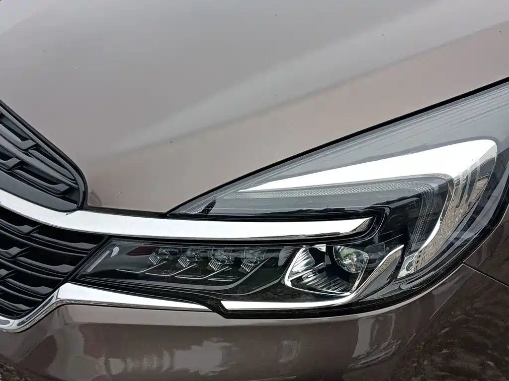 Buick GL8 — миниатюра 5