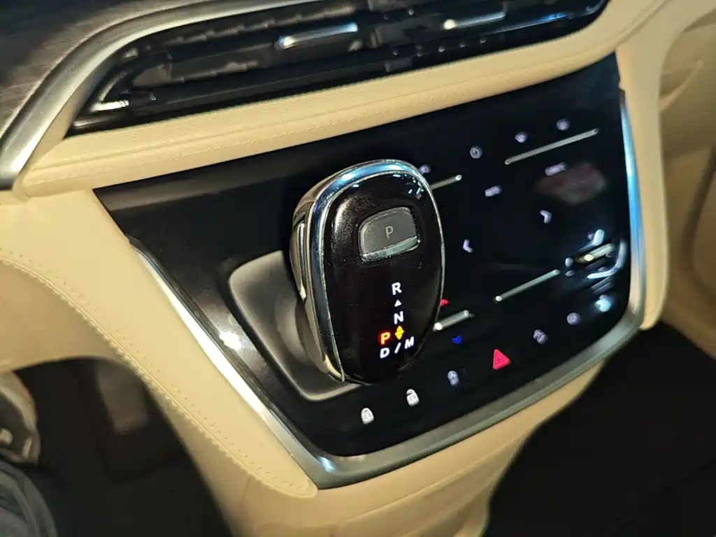 Buick GL8 — миниатюра 14