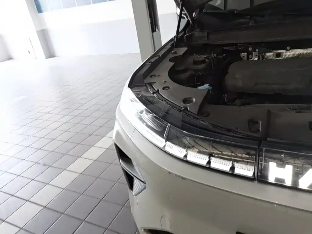 Haval Xiaolong MAX — миниатюра 11
