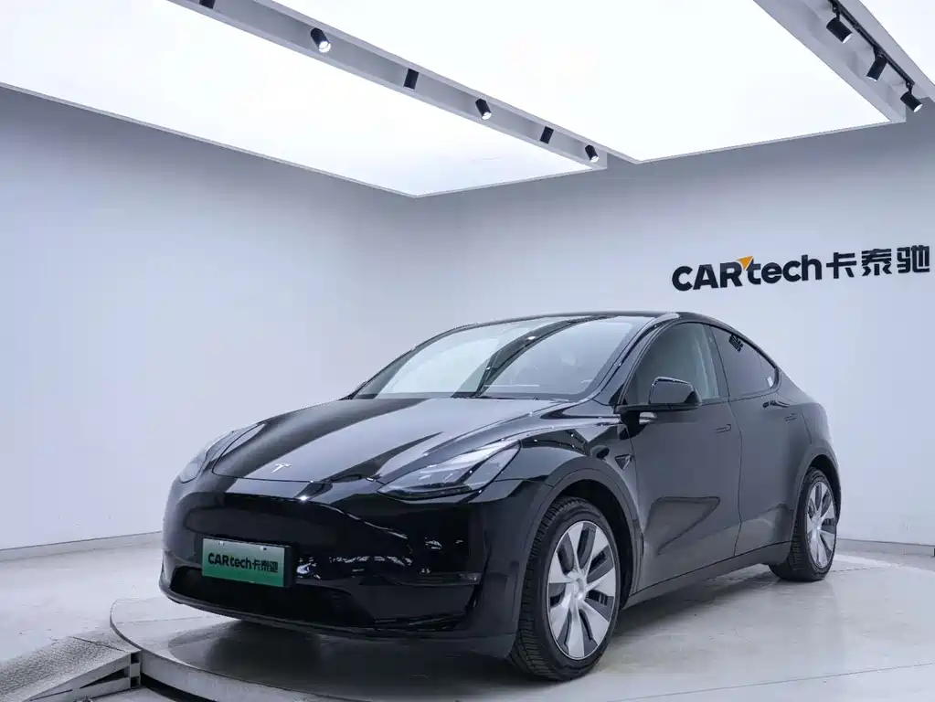 Tesla Model Y — миниатюра 8