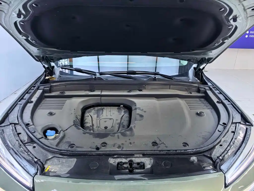 WEI PAI WEI BRAND BLUE MOUNTAIN