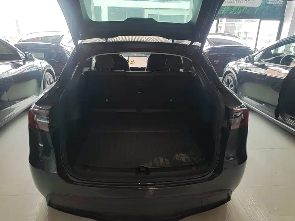 Tesla Model Y — миниатюра 19