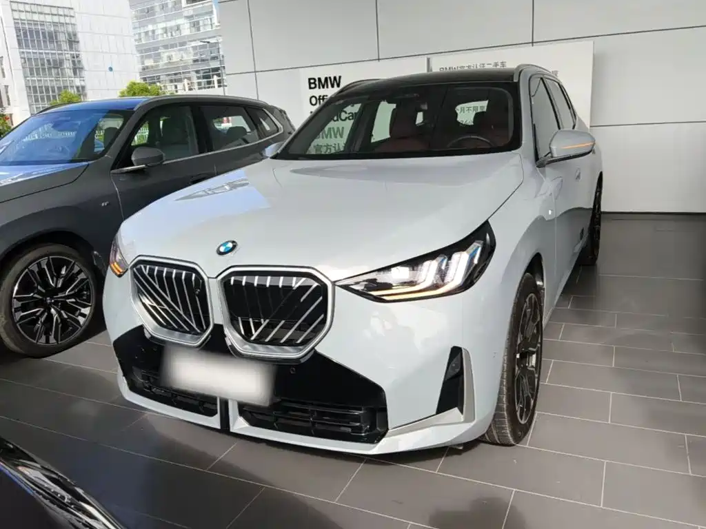 BMW X3 — миниатюра 3