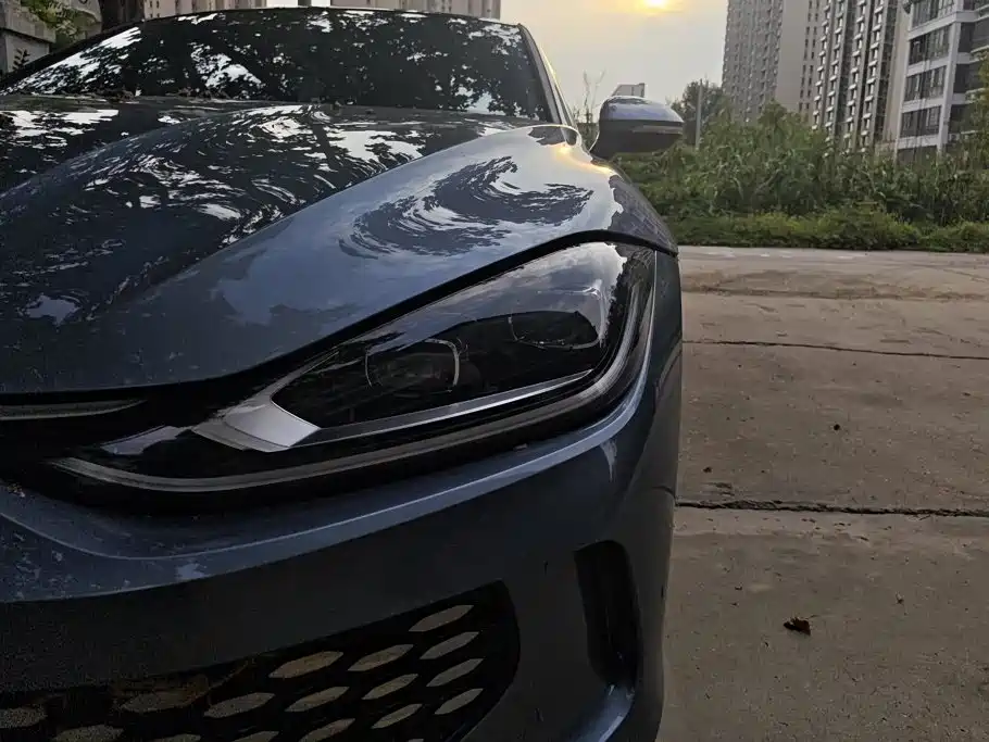 Volkswagen Lamando — миниатюра 5