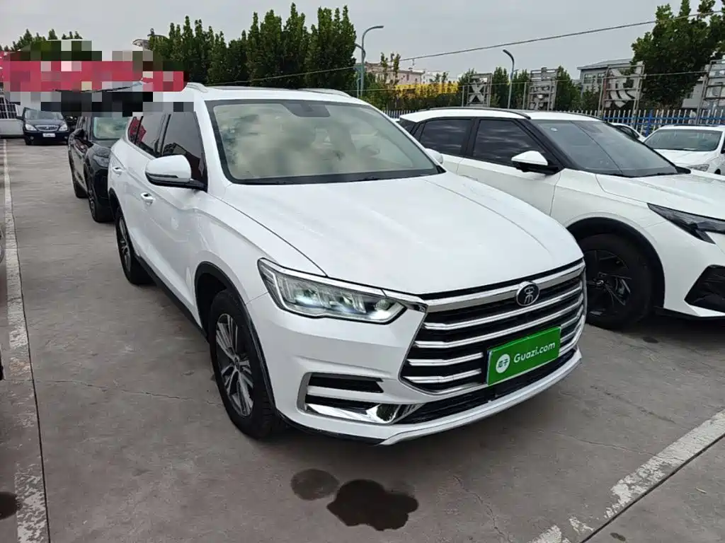 BYD Pro — миниатюра 4