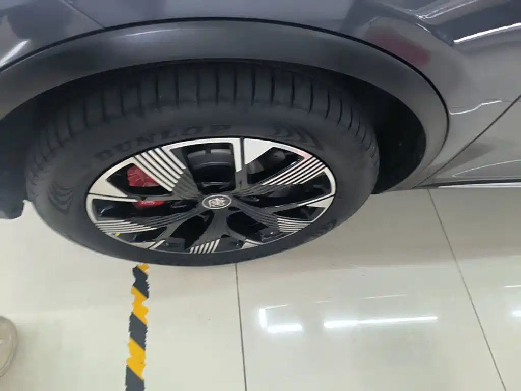BYD Tang New Energy — миниатюра 23