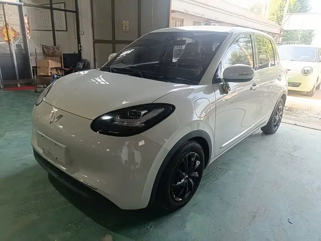 Wuling Binguo 2023 333km