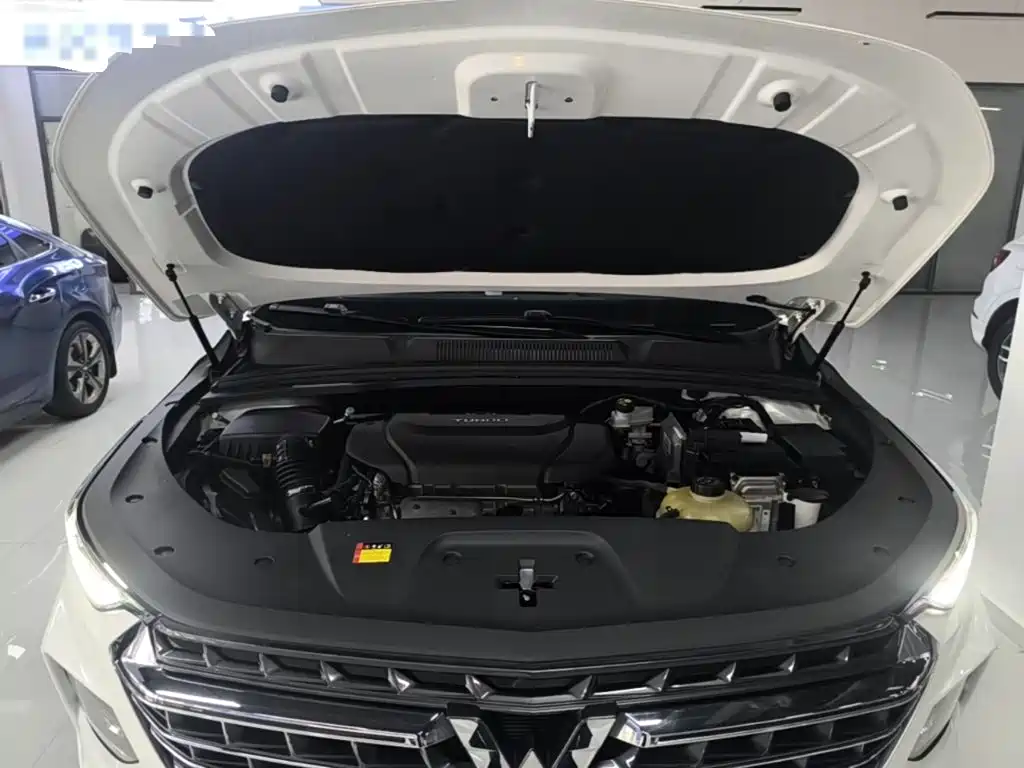 Wuling Victory — миниатюра 20