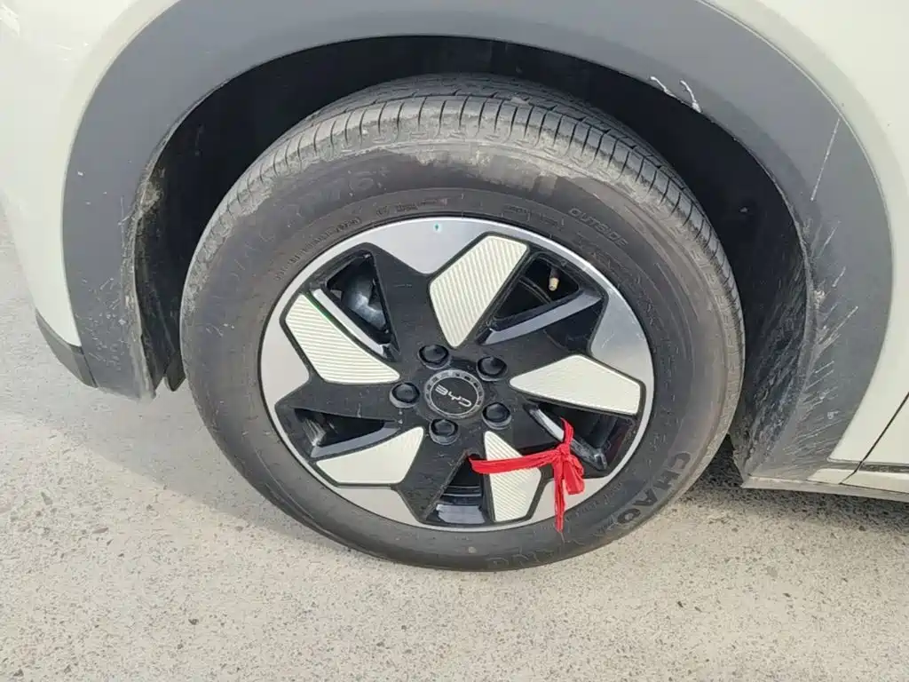 BYD Dolphin — миниатюра 23