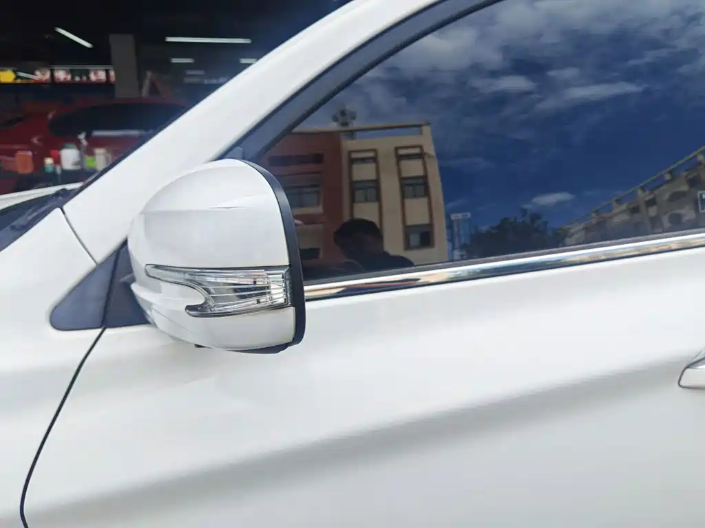 BYD Song — миниатюра 17