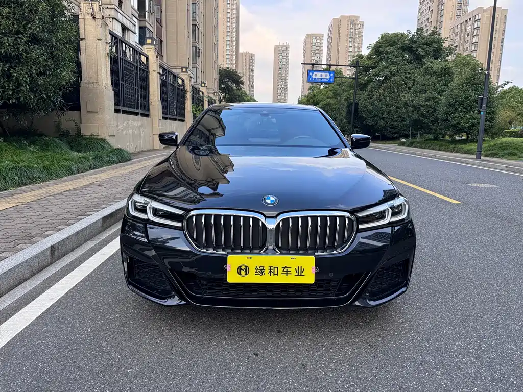 BMW 5 Series — миниатюра 2