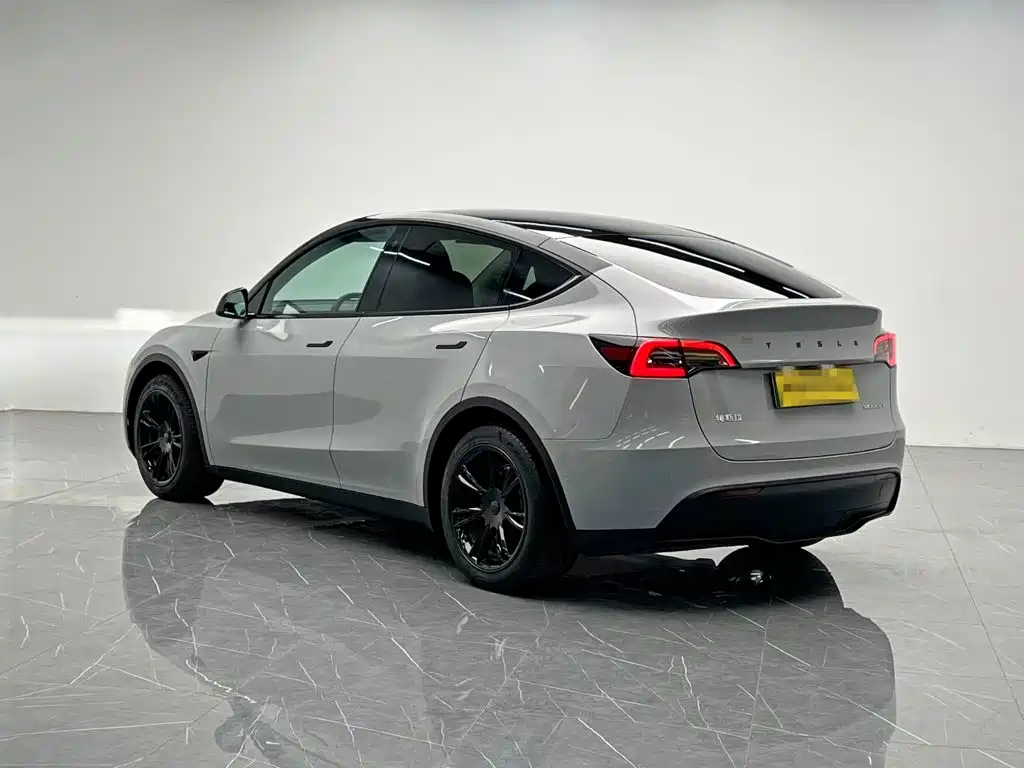 Tesla Model Y — миниатюра 4