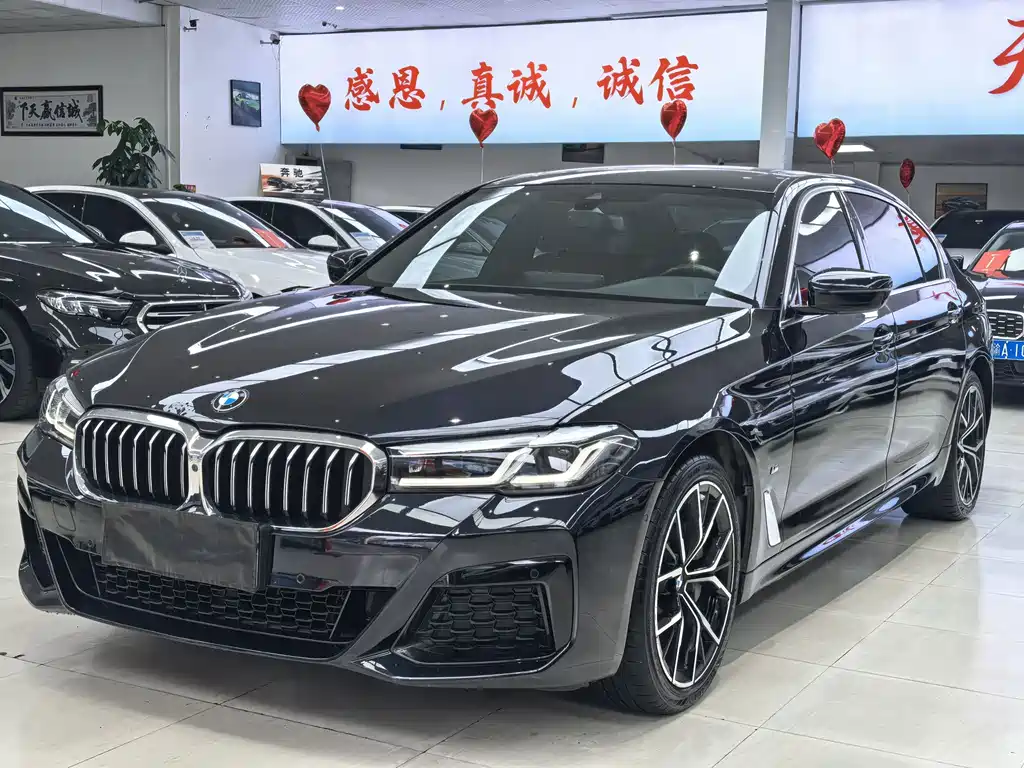 BMW 5 Series — миниатюра 3