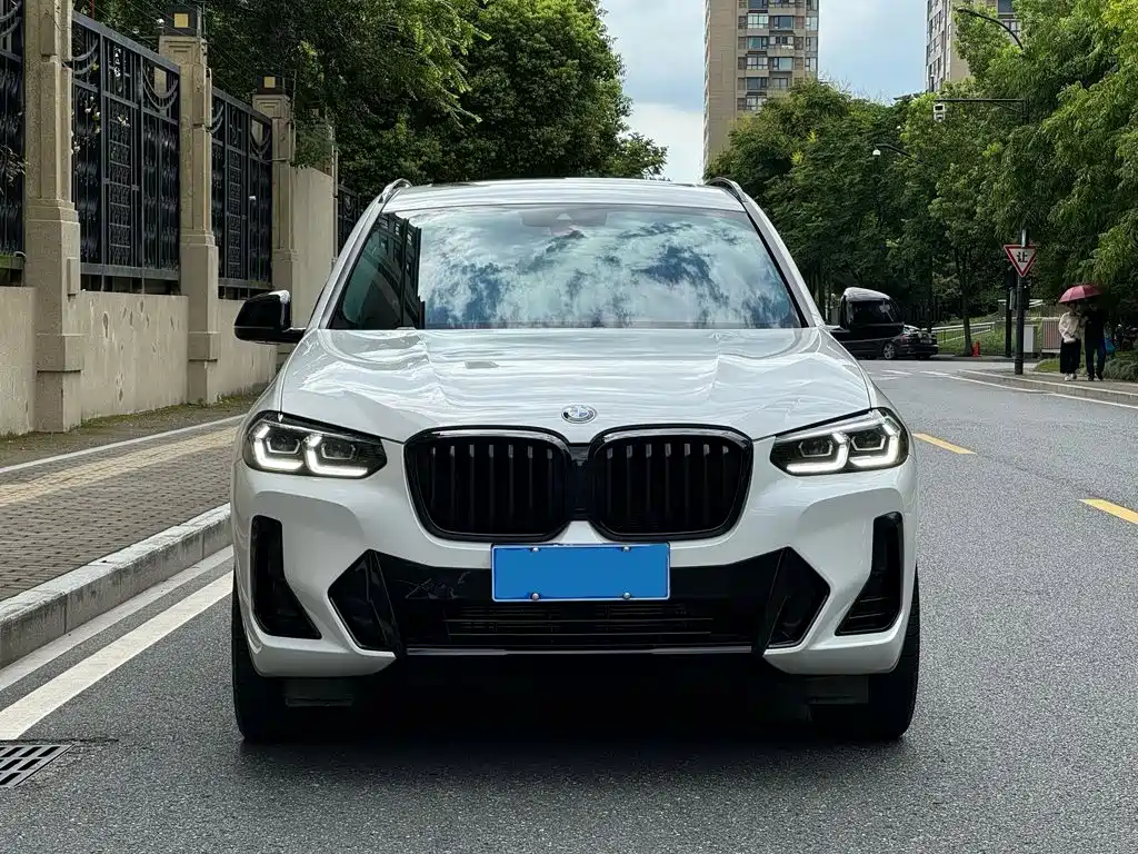 BMW X3 — миниатюра 8
