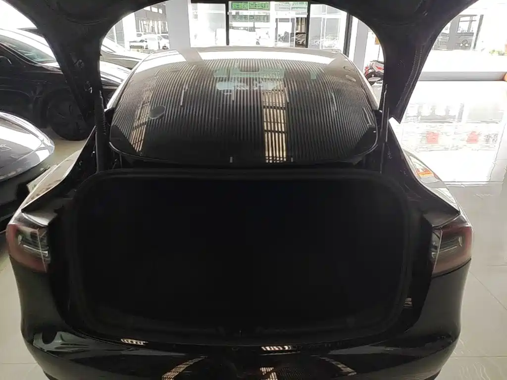 Tesla Model 3 — миниатюра 19