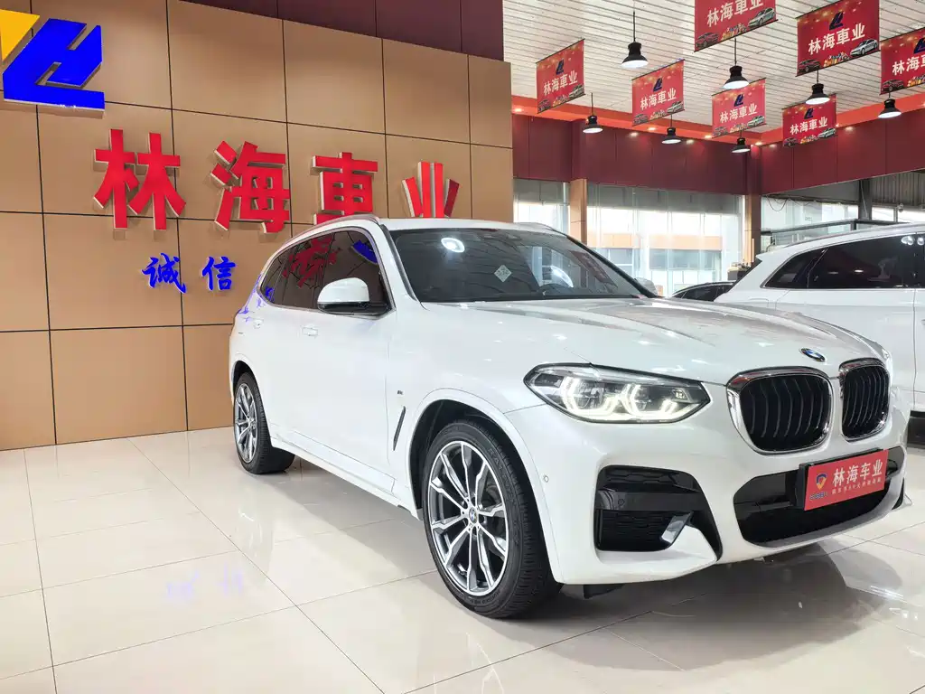 BMW X3 — миниатюра 3