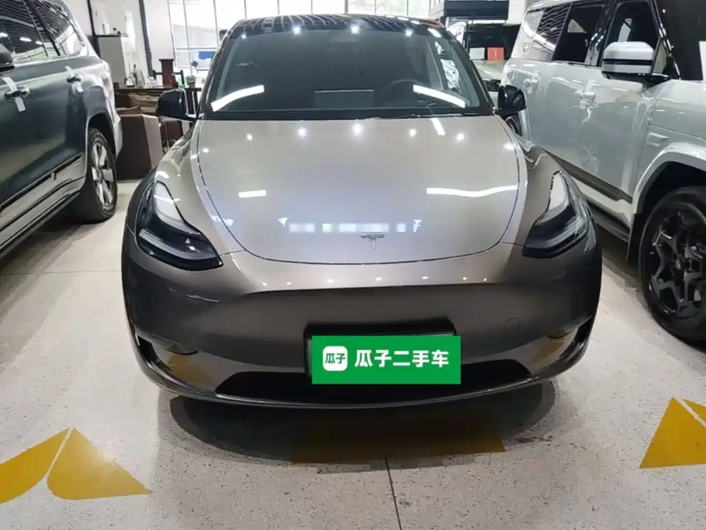 Tesla Model Y — миниатюра 3