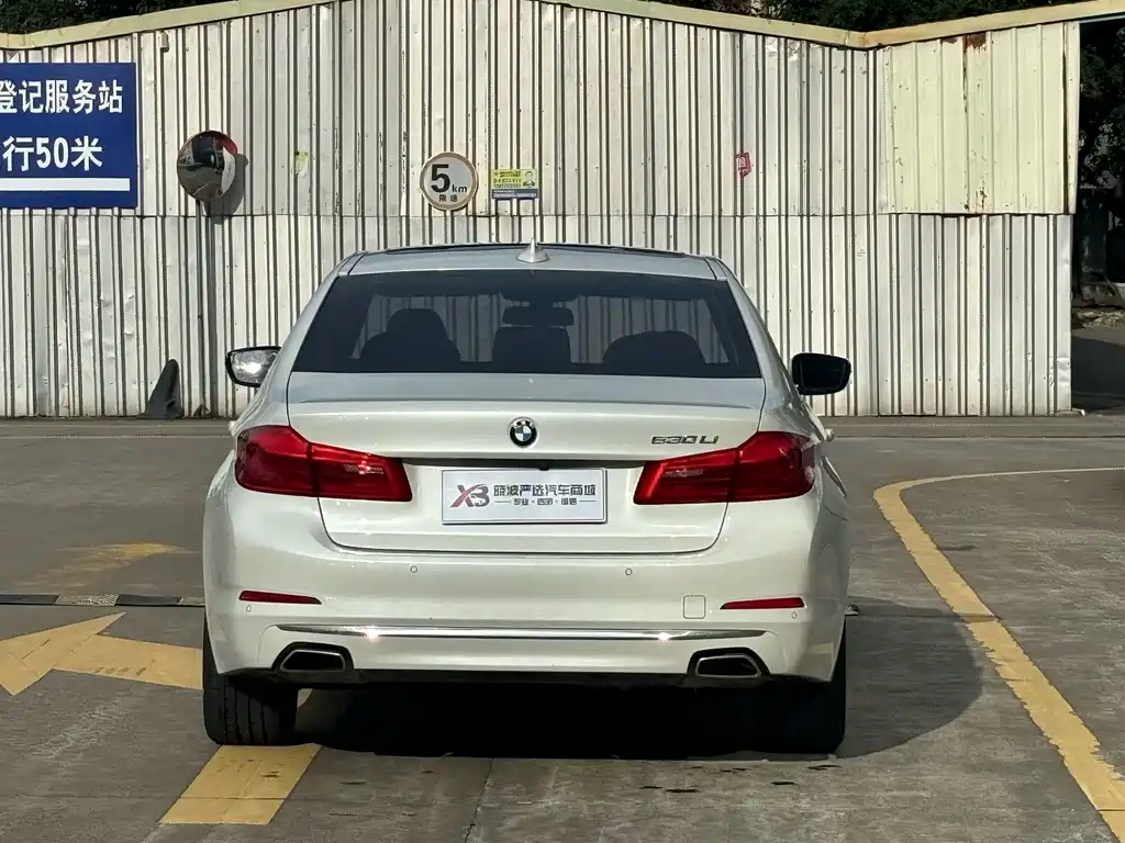 BMW 5 Series 5 2019 530Li Lead Luxury