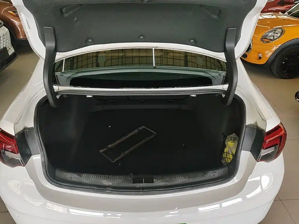 Buick Regal — миниатюра 9