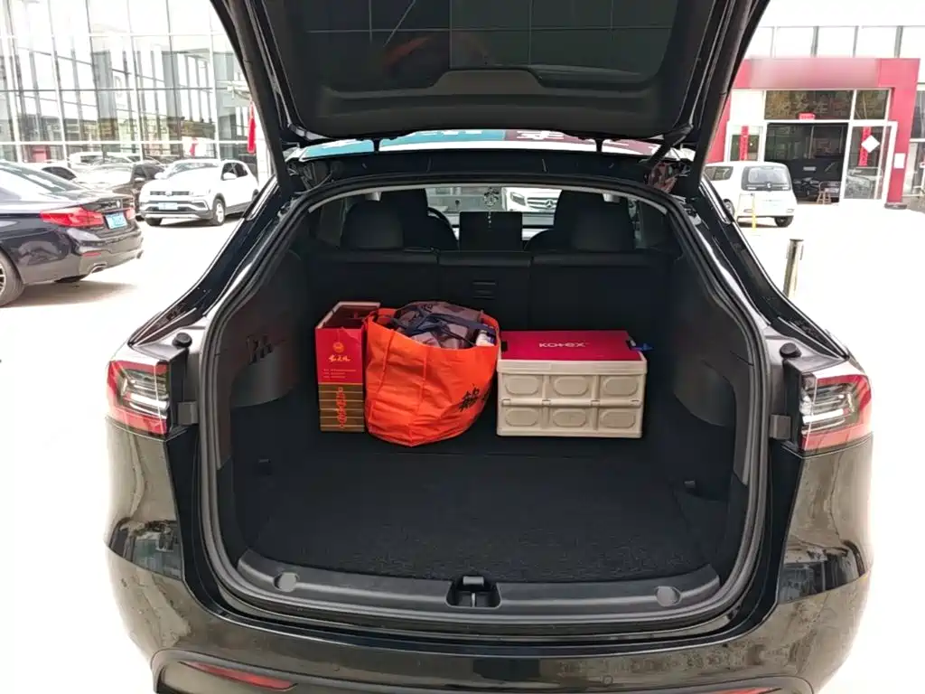 Tesla Model Y — миниатюра 19