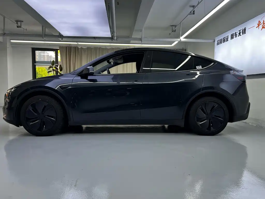 Tesla Model Y — миниатюра 8