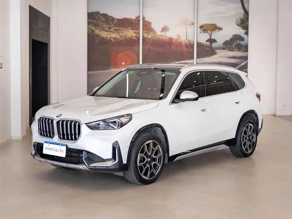 BMW X1 2023 sDrive25Li X