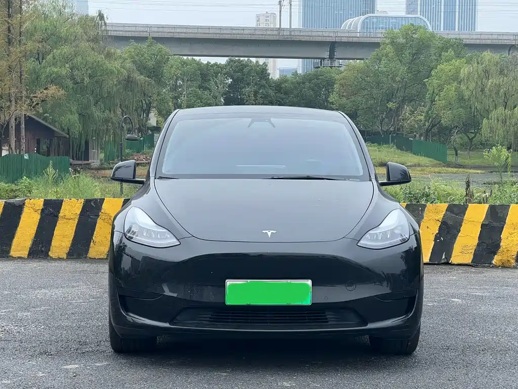 Tesla Model Y — миниатюра 2