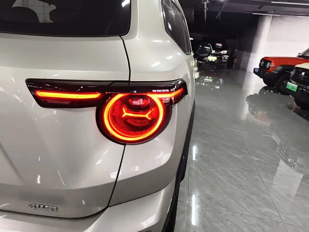 Haval Big Dog PLUS — миниатюра 8