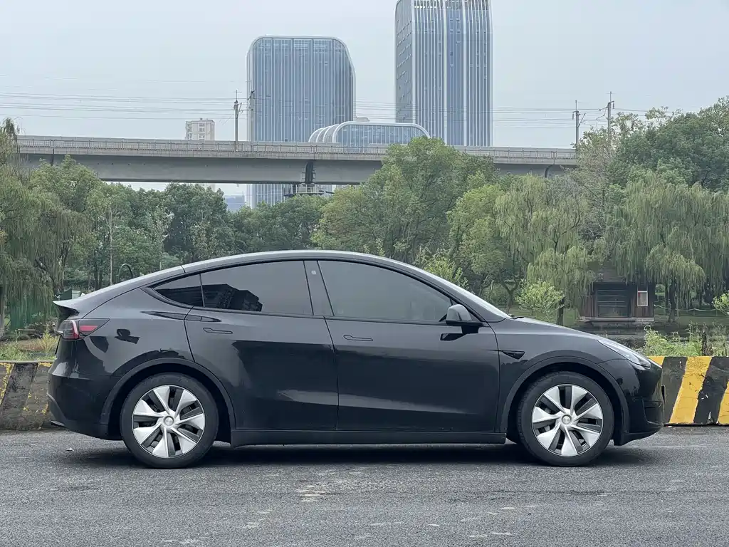 Tesla Model Y — миниатюра 8