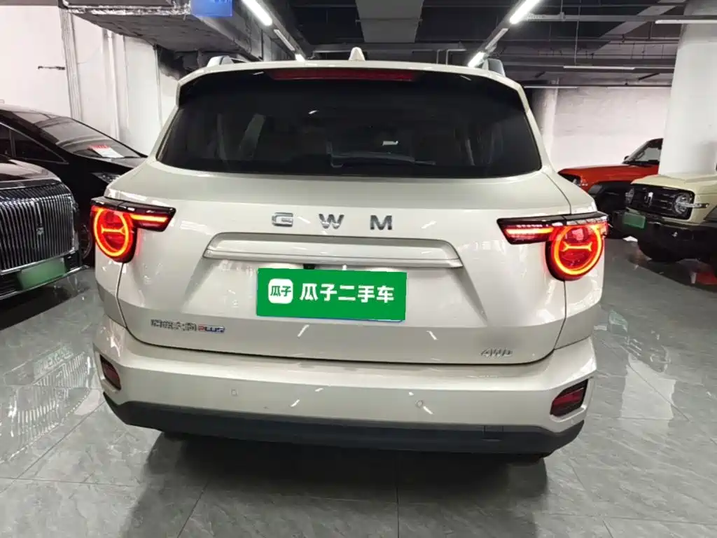 Haval Big Dog PLUS — миниатюра 6
