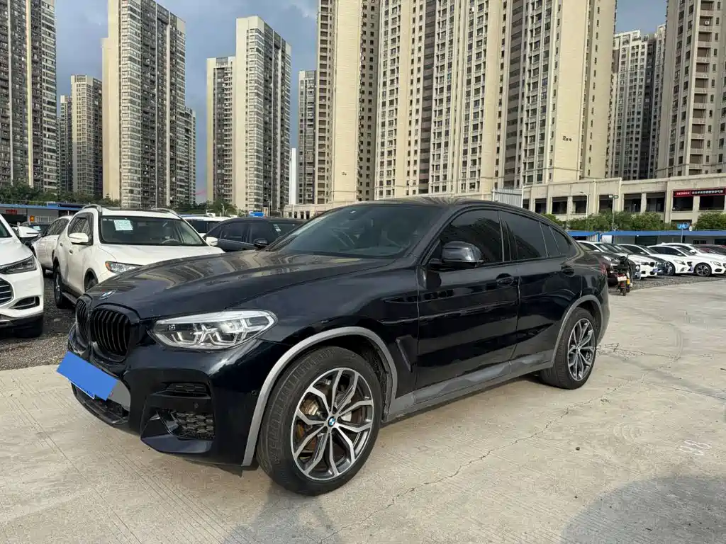BMW X4 2020 xDrive25i M Offroad Package