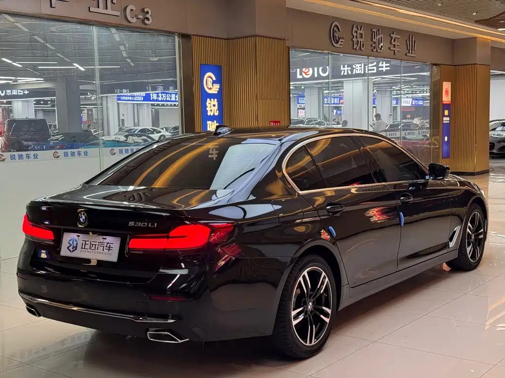 BMW 5 Series — миниатюра 5