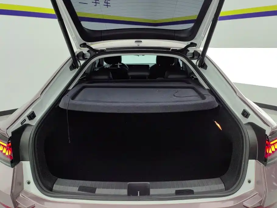 Volkswagen Lamando — миниатюра 4