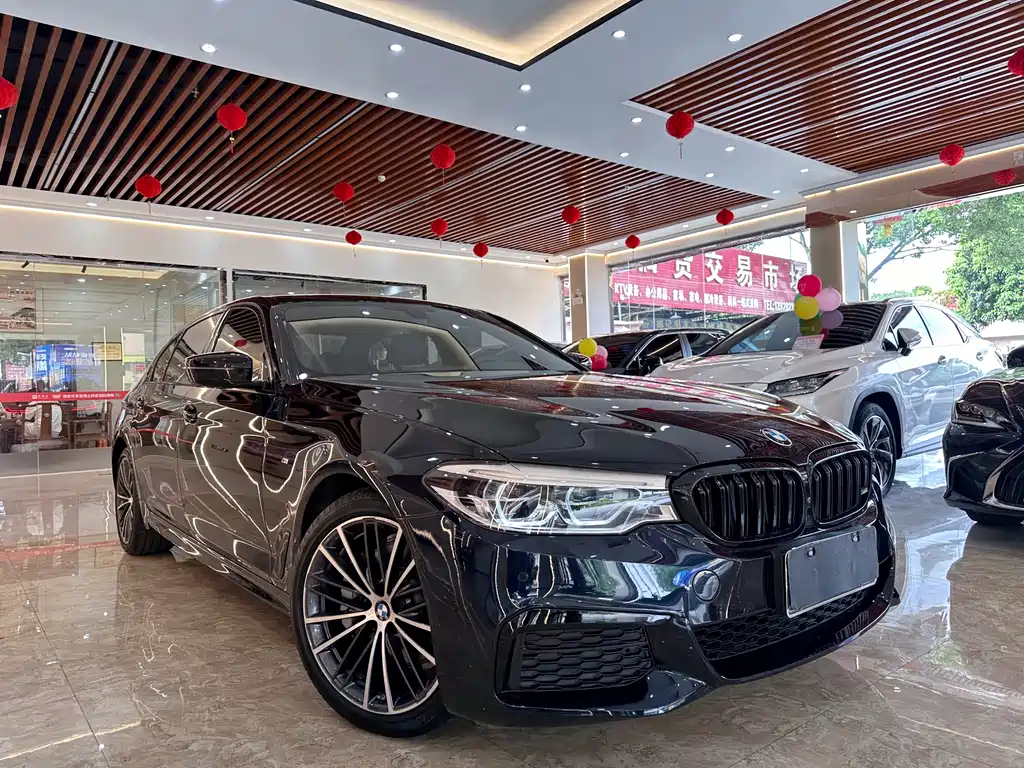 BMW 5 Series 5 2019 530Li Premium M Sport