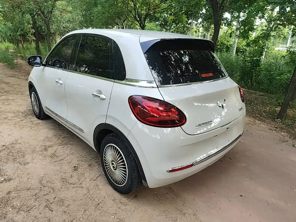 Wuling Binguo 2023 203km
