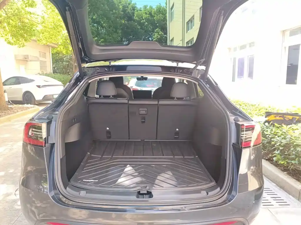 Tesla Model Y — миниатюра 19